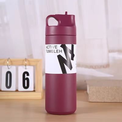550ml 텀블러 지속가능한 이중 벽 격리 된 진공 병 차 물과 커피