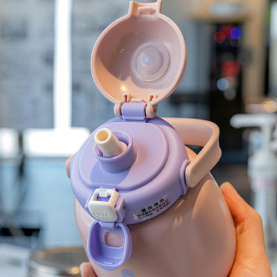 450ml 용량 스테인레스 스틸 단열 물병