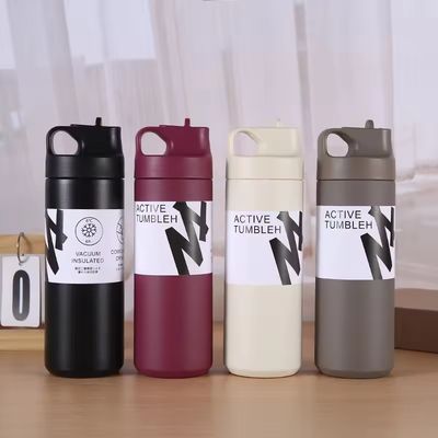 고온 및 차가운 단열 물병 550ml 용량 스테인레스 스틸 내부 빨대 뚜??
