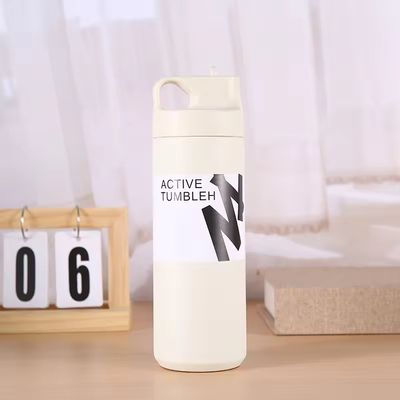 550ml 텀블러 지속가능한 이중 벽 격리 된 진공 병 차 물과 커피