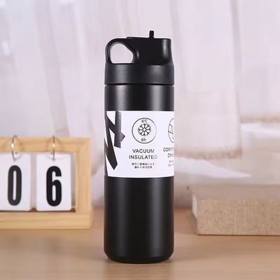 550ml 텀블러 지속가능한 이중 벽 격리 된 진공 병 차 물과 커피