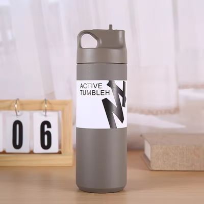 550ml 텀블러 지속가능한 이중 벽 격리 된 진공 병 차 물과 커피