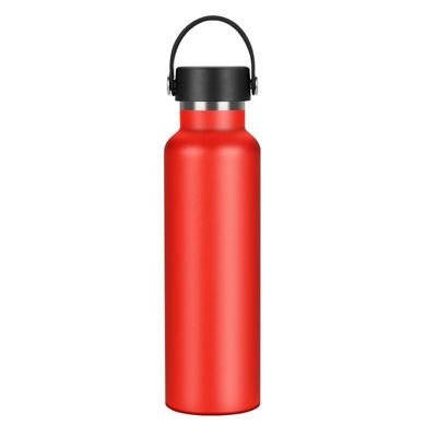 스테인레스 스틸 스포츠 병 500ml/600ml/750ml 맞춤형 진공 병