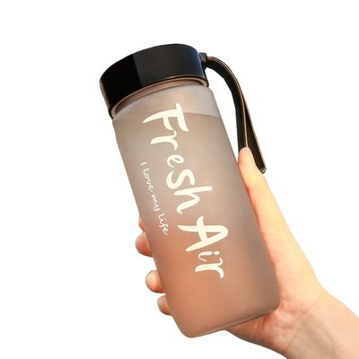 600ml 크리에이티브 얼음 물컵 야외활동용 친환경 플라스틱 병