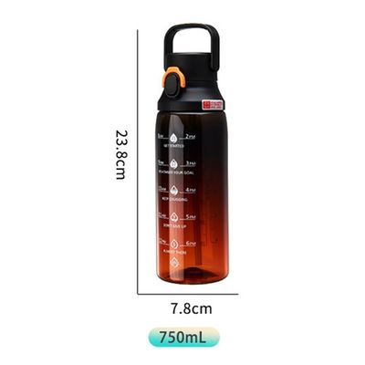 투명 하락 색상 컵 750ml 용량 스냅 캡 스포츠 물병 손잡이