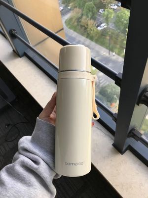 500ml 스테인리스 스틸 물병 휴대용 이중 벽 단열 물컵
