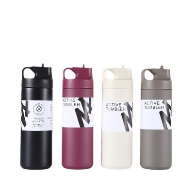 550ml 스테인리스 스틸 단열 진공 병 두 개의 벽 스포츠 피트니스용 테르모스