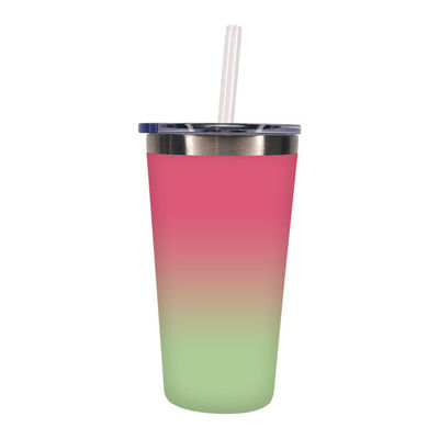 500ml 스테인리스 스틸 진공 격리 물병