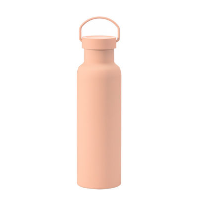 진공 격리 스테인레스 스틸 음료 병 용량 600ml 사용자 정의 가능한 물병